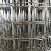 Electro Cage Galvanized Welded Wire Mesh